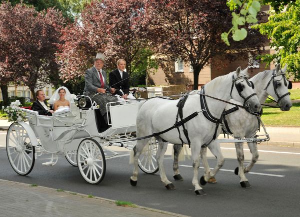 Hochzeitskutsche mit Hochzeitspaar in M�lheim